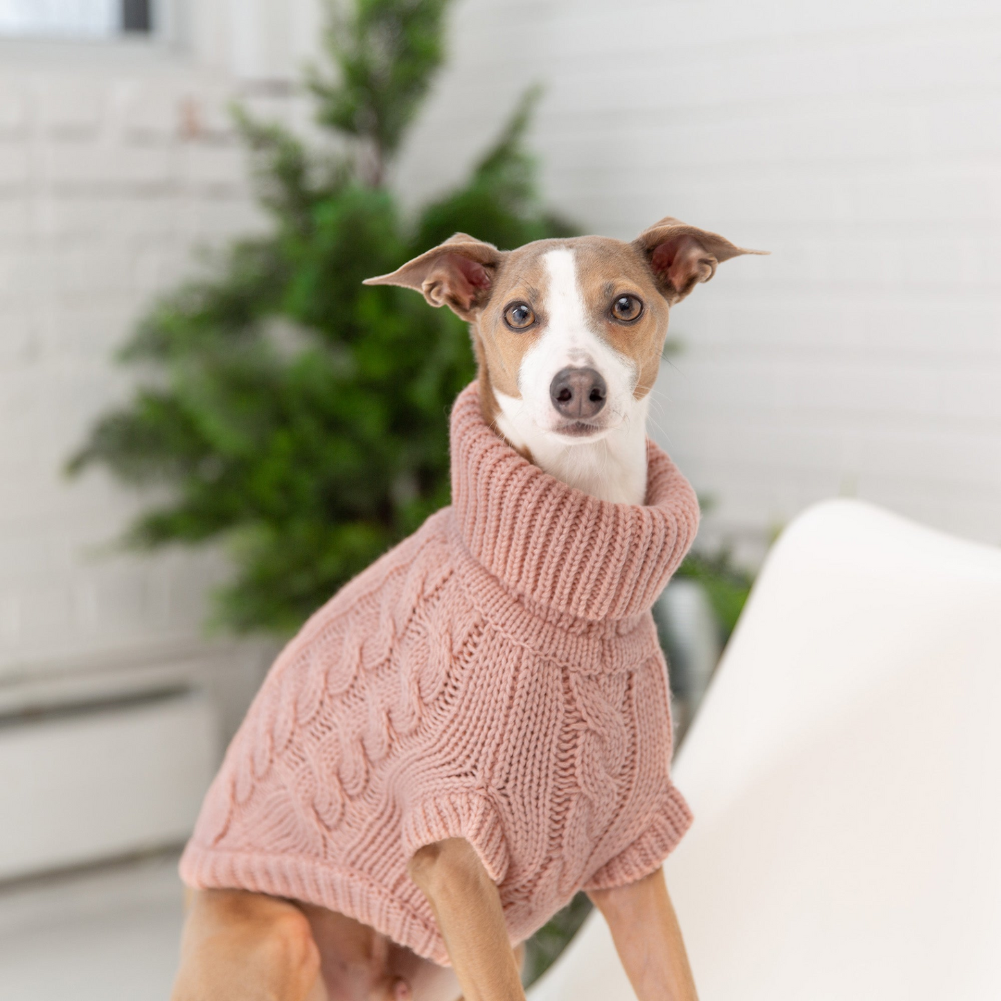 Chalet Dog Sweater - Pink