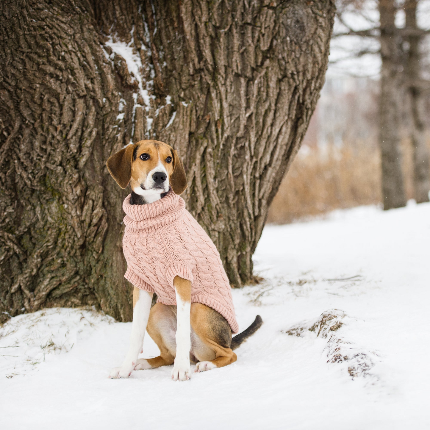 Chalet Dog Sweater - Pink