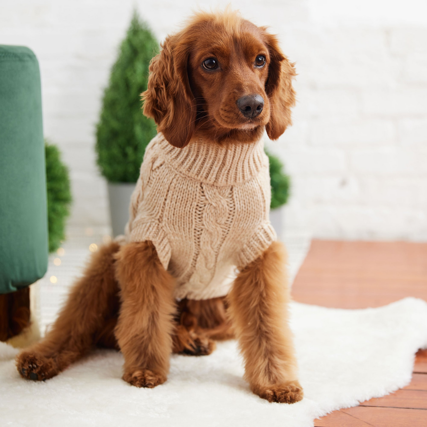 Chalet Dog Sweater - Oatmeal